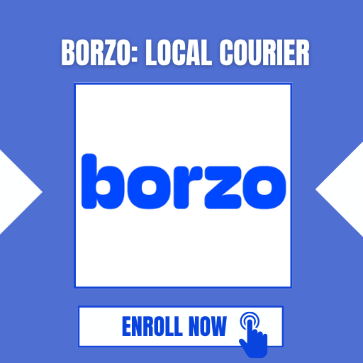 Borzo