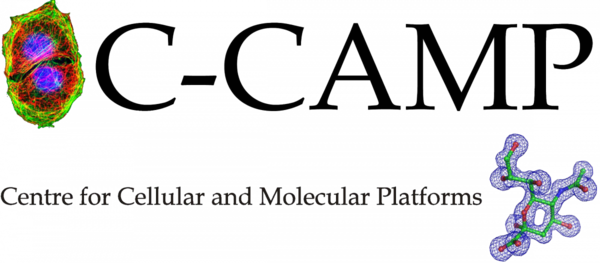 C-Camp_logo_wo_back